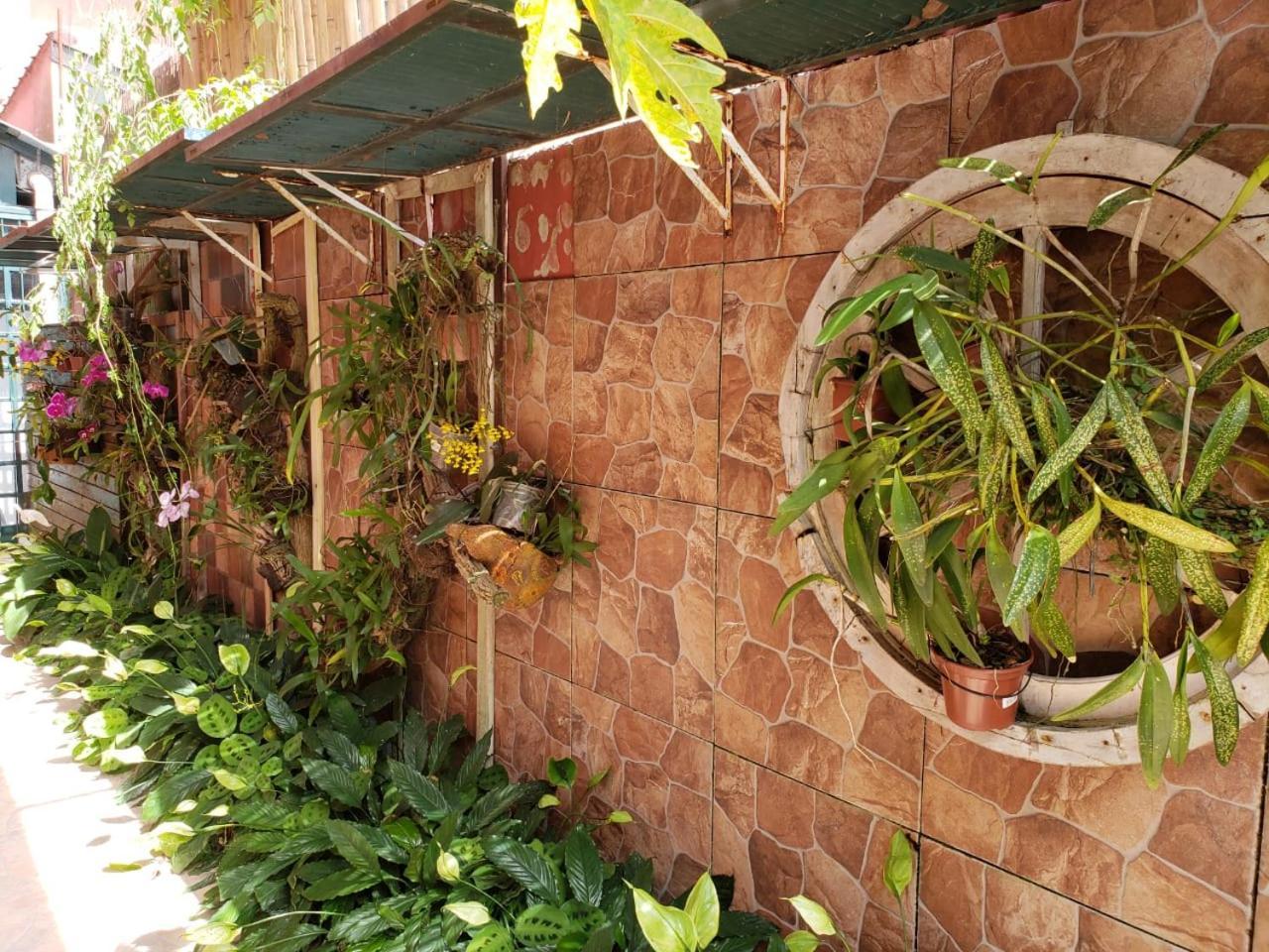 Pousada Avo Isaura - Canasvieiras Florianopolis Exterior photo