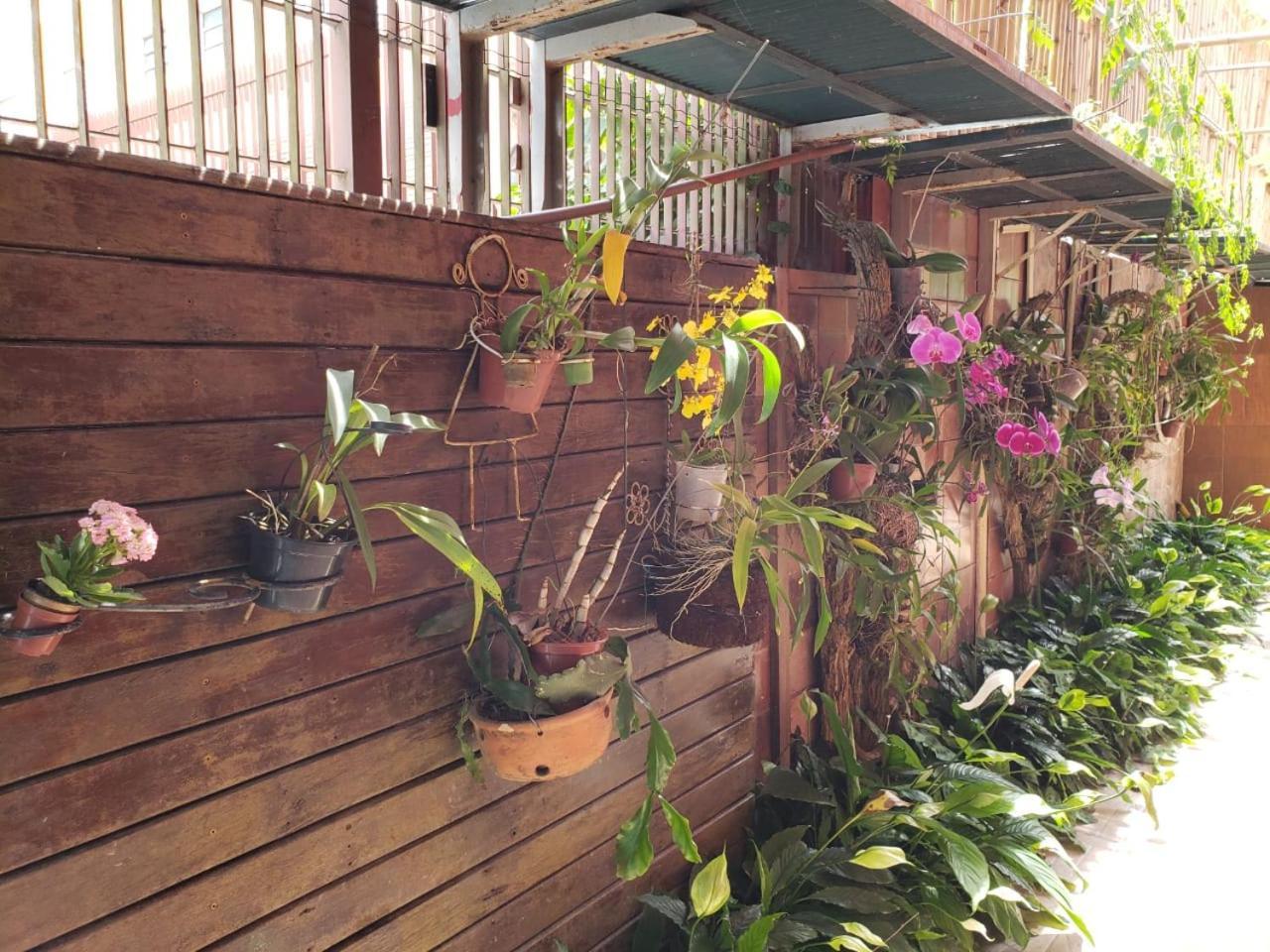 Pousada Avo Isaura - Canasvieiras Florianopolis Exterior photo
